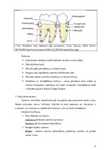 Diplomdarbs 'Periodonta slimību diagnostika un ārstēšanas metodes', 12.