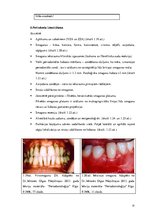 Diplomdarbs 'Periodonta slimību diagnostika un ārstēšanas metodes', 31.