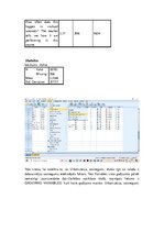 Konspekts 'Skalas', 17.