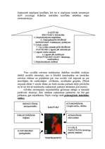 Referāts 'Saskarsmes būtība', 7.