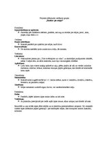 Konspekts 'Projekta plānojums vecākajai grupai "Rudens pie mājas"', 1.