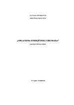 Paraugs 'Organisma enerģētiskā vielmaiņa', 1.