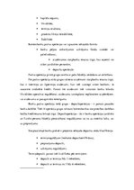 Referāts 'Latvijas komercbanku noguldījumu politika', 6.