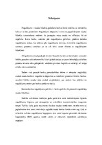 Referāts 'Latvijas komercbanku noguldījumu politika', 18.