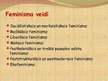 Prezentācija 'Feminisms', 4.