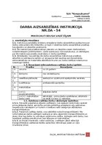 Paraugs 'Darba aizsardzības instrukcija mikroautobusa vadītājam', 1.