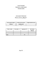 Referāts 'Fitnesa klubs "Majors"', 1.