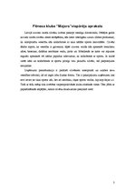 Referāts 'Fitnesa klubs "Majors"', 3.