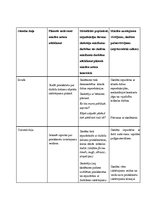 Paraugs 'Mācību stundas konspekts vizuālajā mākslā', 2.