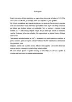 Konspekts 'Biroja projekts', 29.