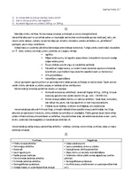 Konspekts 'Industriālisms', 1.