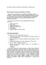 Referāts 'Latvijas politiskās elites pārstāvis Ainārs Šlesers', 22.