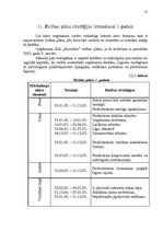 Referāts 'Uzņēmuma SIA "Furnitūre" mārketinga vides un stratēģijas analīze un darbības plā', 31.