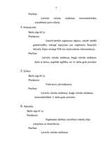 Biznesa plāns 'SIA "Alfa"', 8.