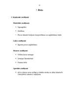 Biznesa plāns 'SIA "Alfa"', 13.