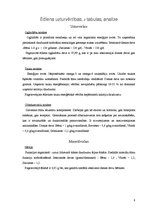 Paraugs 'Firmas ēdiens', 8.