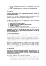 Eseja 'Darba vides risku novērtēšana', 6.