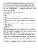 Eseja 'Gun Control vs Freedom', 2.