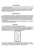 Konspekts 'Fluora apraksts', 2.