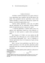 Prakses atskaite 'AAS "Balta"', 3.