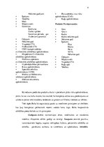 Prakses atskaite 'AAS "Balta"', 4.