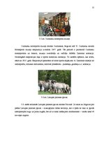 Referāts 'Jauna kultūras tūrisma projekta "Apslēpto dārgumu medības Jelgavas un Ozolnieku ', 25.