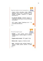 Referāts 'Jauna kultūras tūrisma projekta "Apslēpto dārgumu medības Jelgavas un Ozolnieku ', 40.