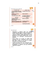 Referāts 'Jauna kultūras tūrisma projekta "Apslēpto dārgumu medības Jelgavas un Ozolnieku ', 42.