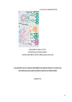 Referāts 'Cilmes šūnas plazmatiskās membrānas struktūras un transdukcijas mehānismi dalīša', 2.