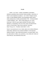 Konspekts 'Kultūras definīcijas', 2.