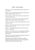 Konspekts 'Kultūras definīcijas', 5.