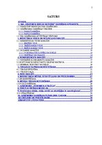 Referāts 'Uzņēmuma X mārketinga vides un stratēģijas analīze, un darbības plānošana', 2.