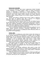 Referāts 'Uzņēmuma X mārketinga vides un stratēģijas analīze, un darbības plānošana', 11.