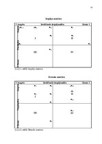Referāts 'Uzņēmuma X mārketinga vides un stratēģijas analīze, un darbības plānošana', 16.
