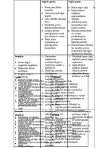 Referāts 'Uzņēmuma X mārketinga vides un stratēģijas analīze, un darbības plānošana', 24.