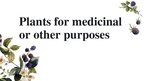 Prezentācija 'Plants for Medicinal or Other Purposes', 1.