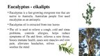 Prezentācija 'Plants for Medicinal or Other Purposes', 6.