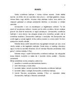 Referāts 'Ziemassvētku svinēšanas tradīcija', 3.