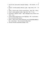 Referāts 'Ziemassvētku svinēšanas tradīcija', 11.