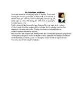 Referāts 'Zīmējumi ar hennu', 3.