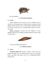Referāts 'Svešās sugas Latvijā un to ietekme uz ekosistēmu', 8.