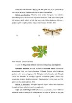 Referāts 'Svešās sugas Latvijā un to ietekme uz ekosistēmu', 9.