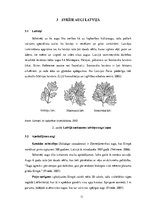 Referāts 'Svešās sugas Latvijā un to ietekme uz ekosistēmu', 11.