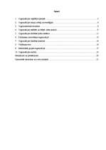 Biznesa plāns 'SIA "D+" projektēšana ', 17.