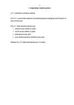 Biznesa plāns 'SIA "D+" projektēšana ', 18.