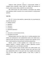 Biznesa plāns 'SIA "D+" projektēšana ', 25.