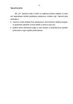 Biznesa plāns 'SIA "D+" projektēšana ', 27.