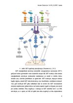 Referāts 'Cilvēka ģenētika', 9.