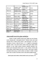 Referāts 'Cilvēka ģenētika', 13.