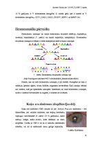 Referāts 'Cilvēka ģenētika', 18.